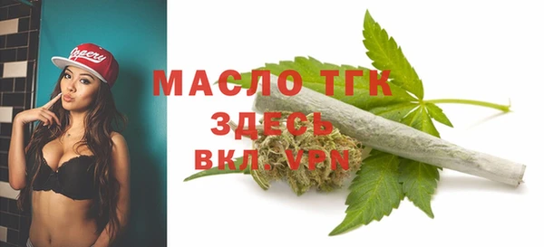 сатива Волоколамск
