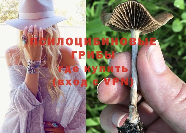 МДПВ Волосово