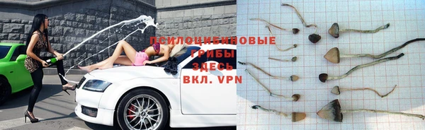 дурь Лихославль